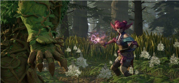 Avowed Beginner’s Guide: Make The Most Of your Journey