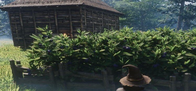 Farming in Enshrouded: Build the Most Efficient Farm